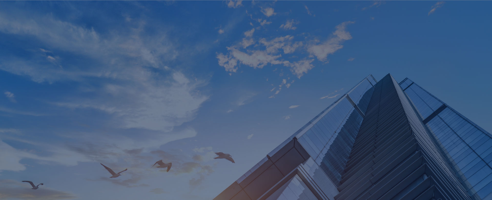 亚洲午夜成人满18免费网站